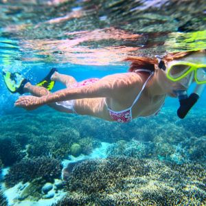 10 reasons why The Great Barrier Reef needs to be on your bucket-list - Backpackers World Travel Blog