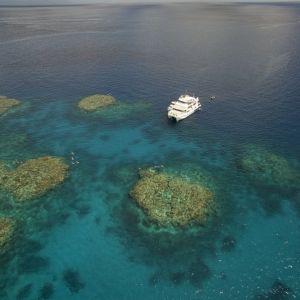 Why Cairns Should Absolutely Be On Your Travel List - Backpackers World Travel Blog