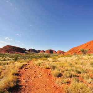 Ten experiences you need to have in the Northern Territory - Backpackers World Travel blog