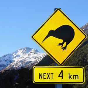 New Zealand in winter is the best. Kiwi Road Sign in snowy Mountains - Backpackers World Travel Blog