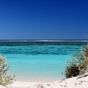 5 Experiences That Prove Western Australia Is Amazing - Blog