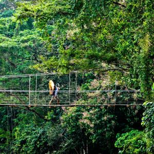 Cairns Bucket-list Tick Offs - suspension bridge - Backpackers World Travel Blog