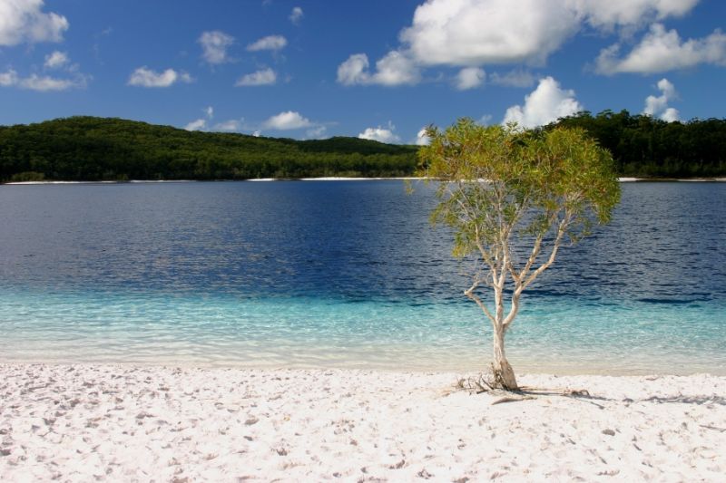 Five islands every backpacker needs to visit on the East Coast - Backpackers World Travel Blog