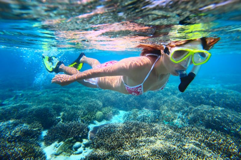 10 reasons why The Great Barrier Reef needs to be on your bucket-list - Backpackers World Travel Blog