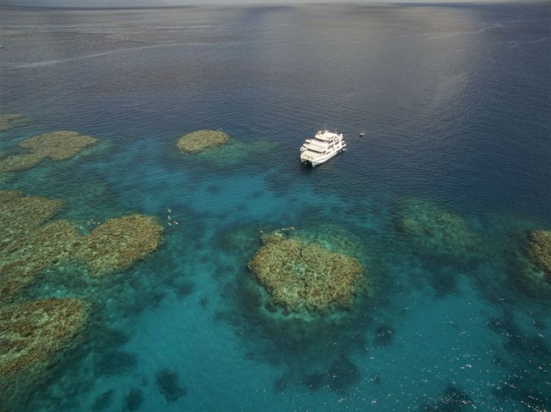 Why Cairns Should Absolutely Be On Your Travel List - Backpackers World Travel Blog
