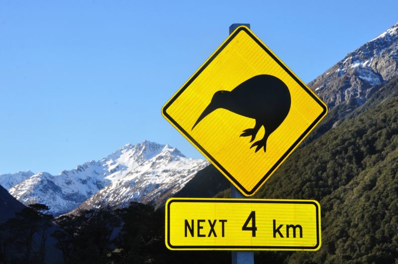 New Zealand in winter is the best. Kiwi Road Sign in snowy Mountains - Backpackers World Travel Blog