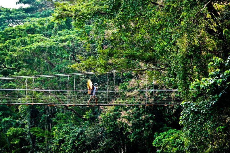 Cairns Bucket-list Tick Offs - suspension bridge - Backpackers World Travel Blog