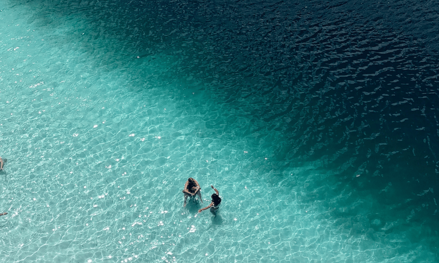 friends in lake mckenzie